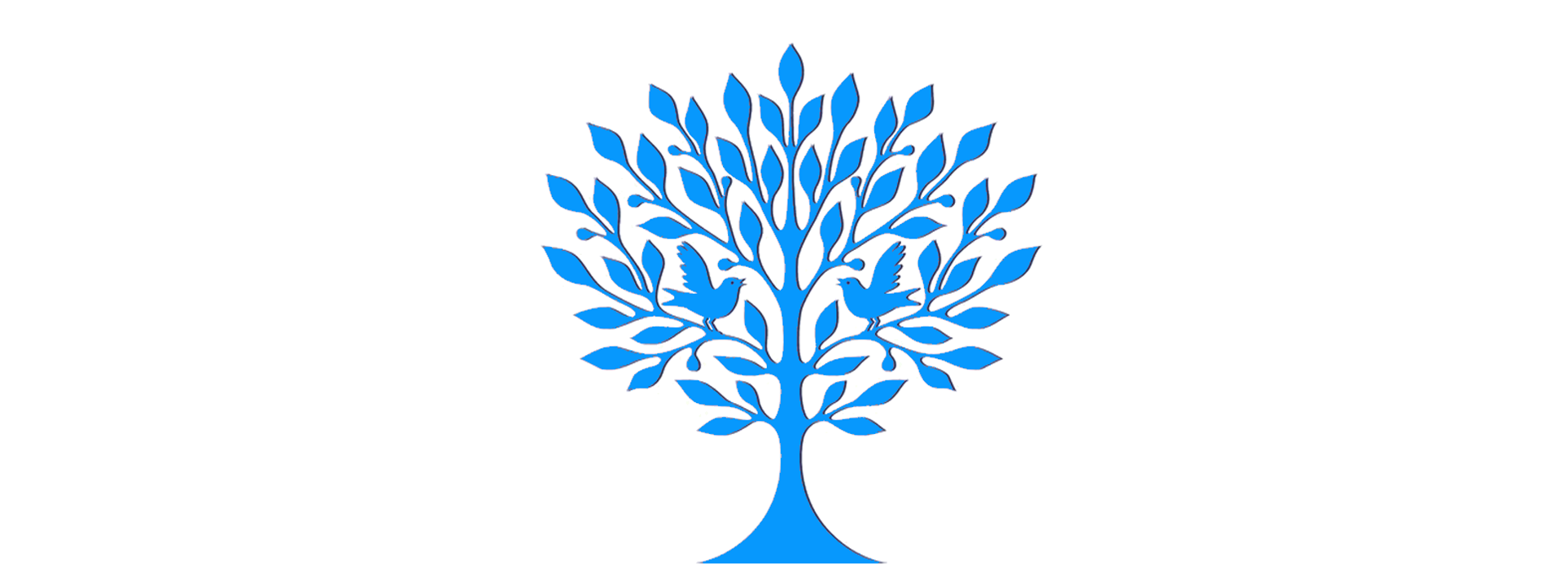 meaulne informatique retouche photo